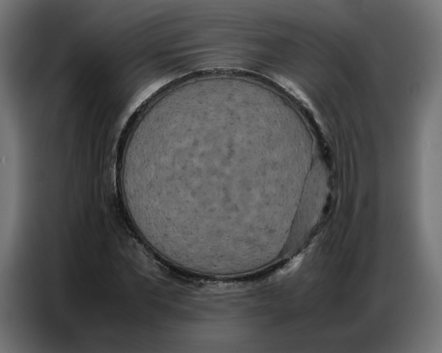 X0000086740877200705041405