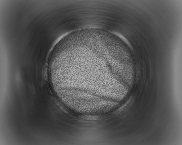 X0000086740878200705041405