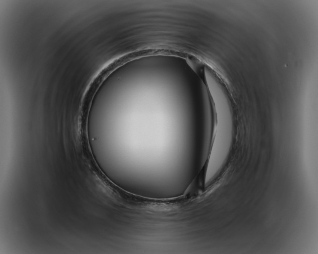 X0000086740880200705041405