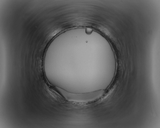 X0000086740881200705041405