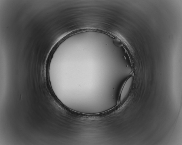 X0000086740884200705041405