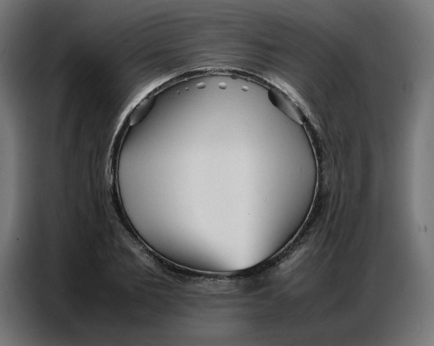 X0000086740885200705041405