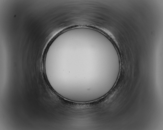 X0000086740887200705041405