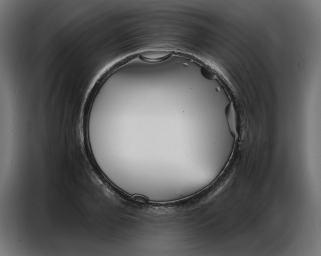 X0000086740888200705041405