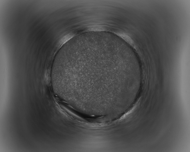 X0000086740889200705041405