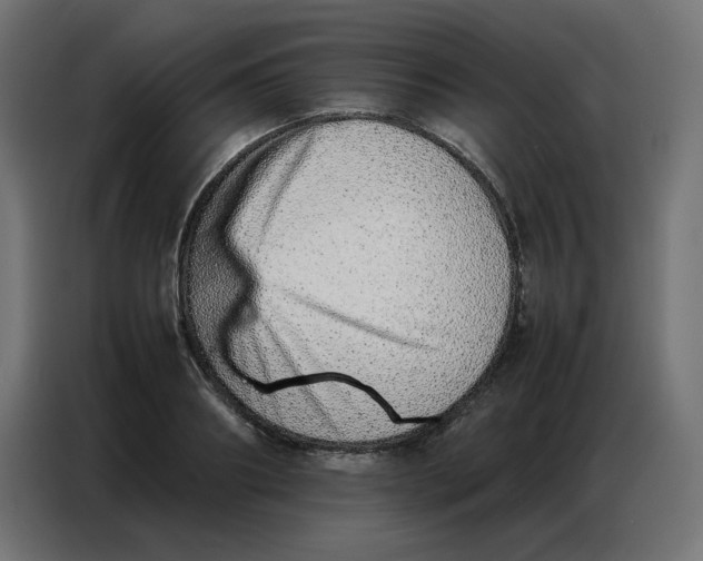 X0000086740890200705041405