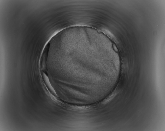 X0000086740892200705041405