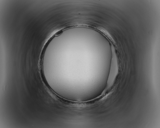 X0000086740893200705041405