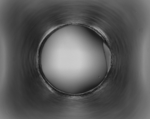 X0000086740894200705041405