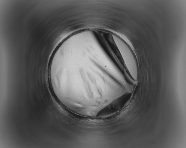 X0000086740895200705041405