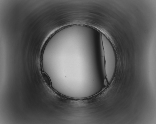 X0000086740896200705041405