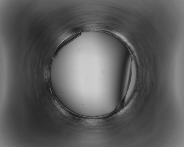 X0000086740897200705041405