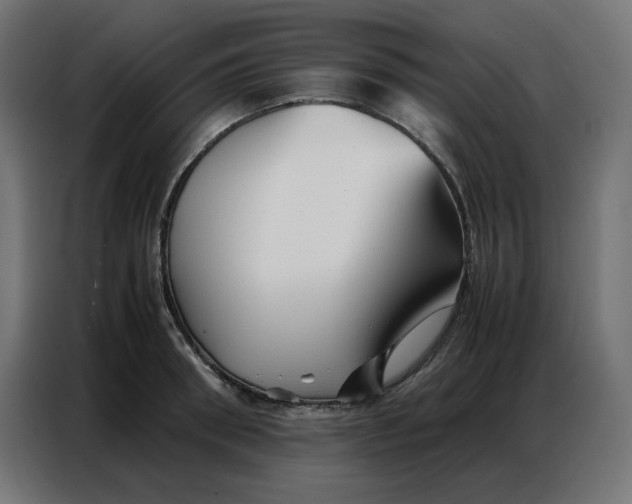 X0000086740898200705041405