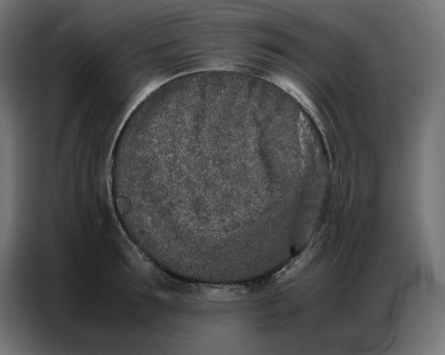 X0000086740899200705041405