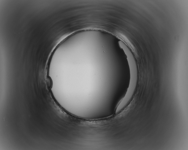 X0000086740900200705041405