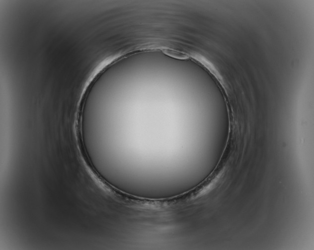 X0000086740901200705041405