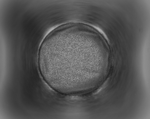 X0000086740903200705041405