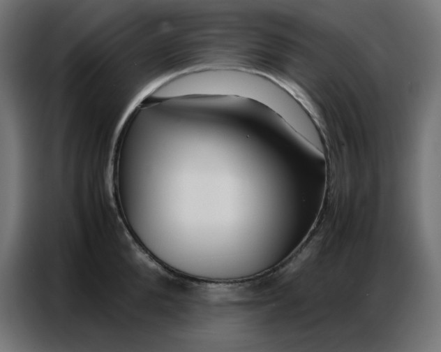 X0000086740904200705041405