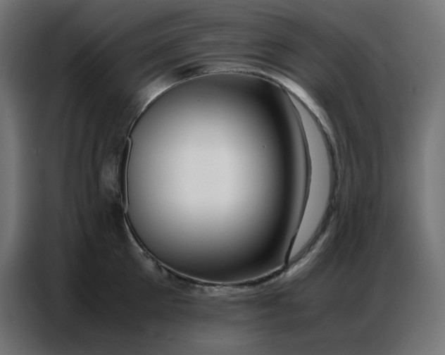 X0000086740905200705041405