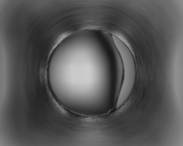 X0000086740906200705041405