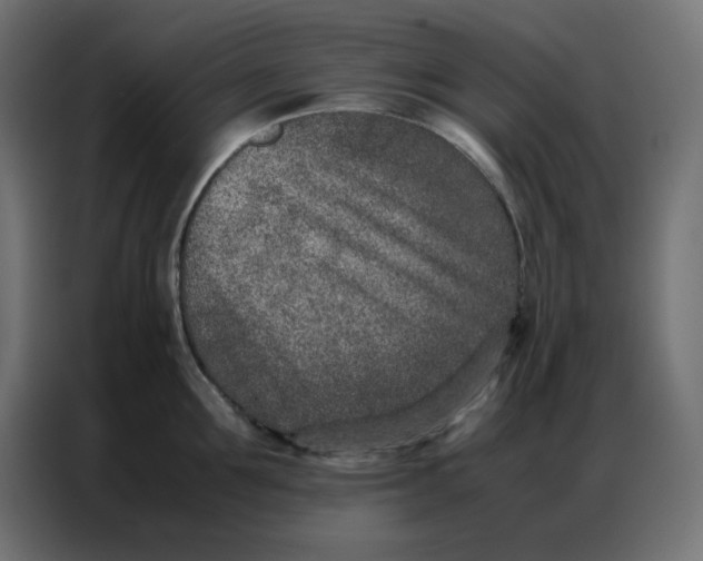 X0000086740907200705041405