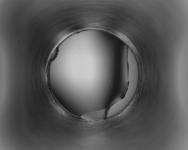 X0000086740908200705041405