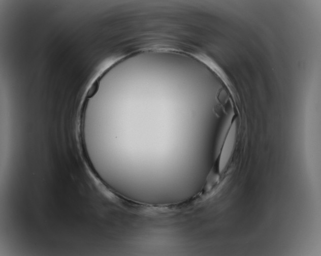 X0000086740909200705041405