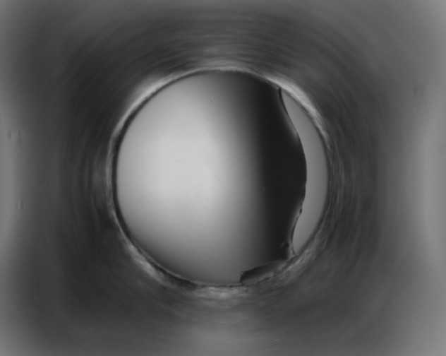 X0000086740910200705041405