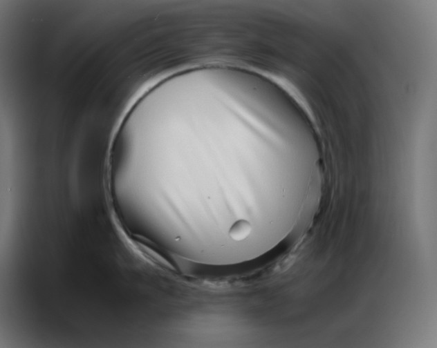 X0000086740911200705041405