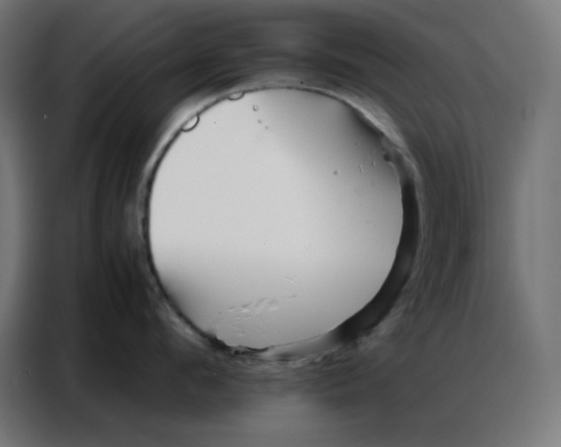 X0000086740912200705041405