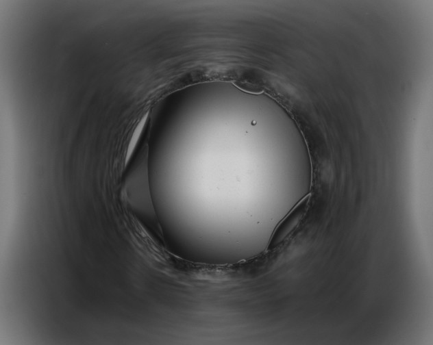 X0000086740914200705041404