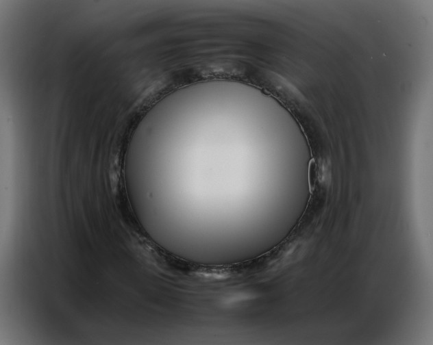 X0000086740915200705041404