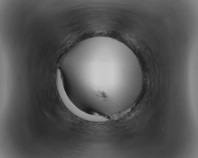 X0000086740916200705041404