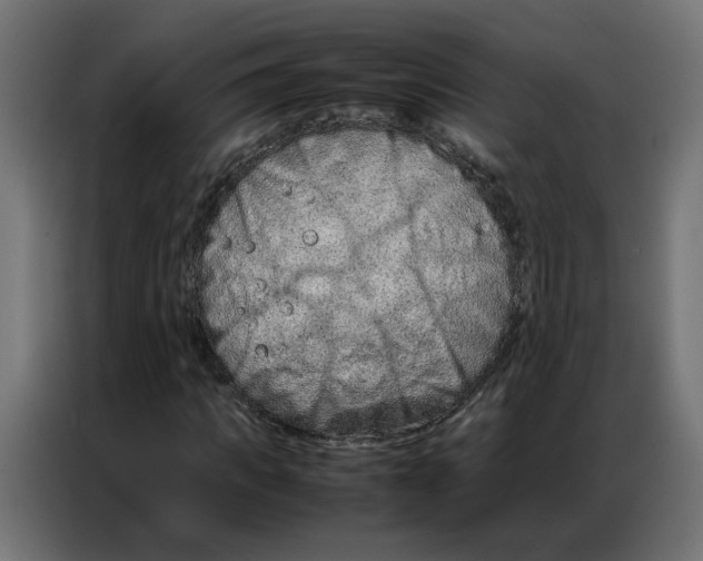 X0000086740917200705041404