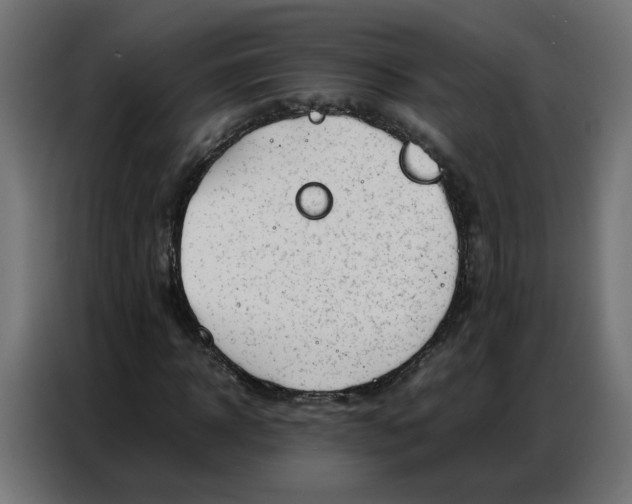 X0000086740918200705041404