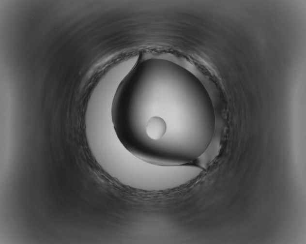 X0000086740920200705041404