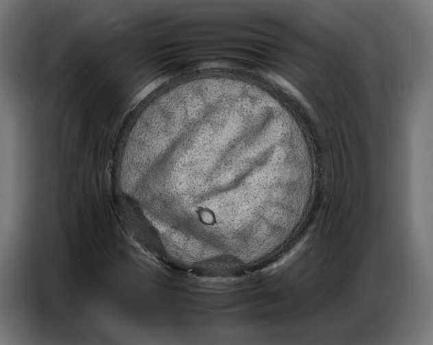 X0000086740921200705041404