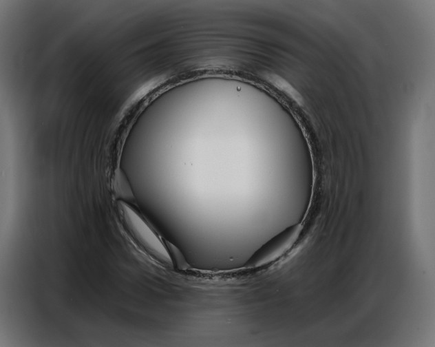 X0000086740922200705041404