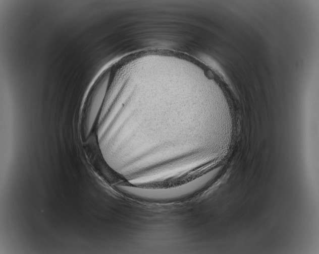 X0000086740924200705041404