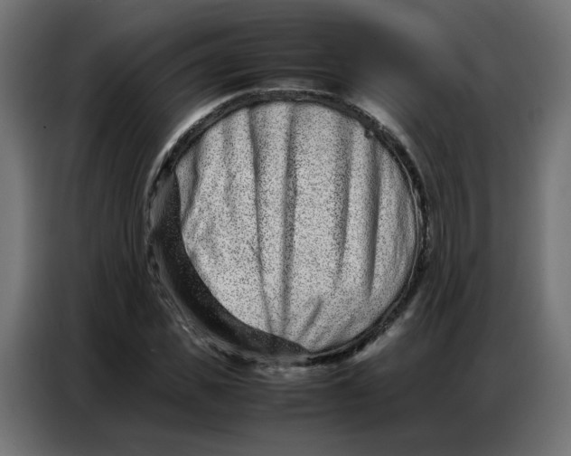 X0000086740925200705041404