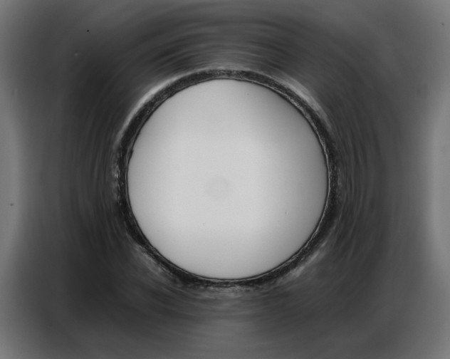 X0000086740926200705041404