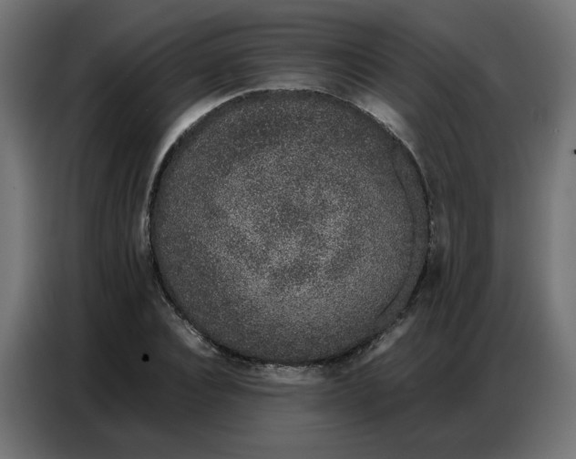 X0000086740928200705041404