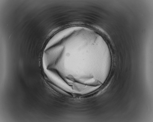 X0000086740929200705041404