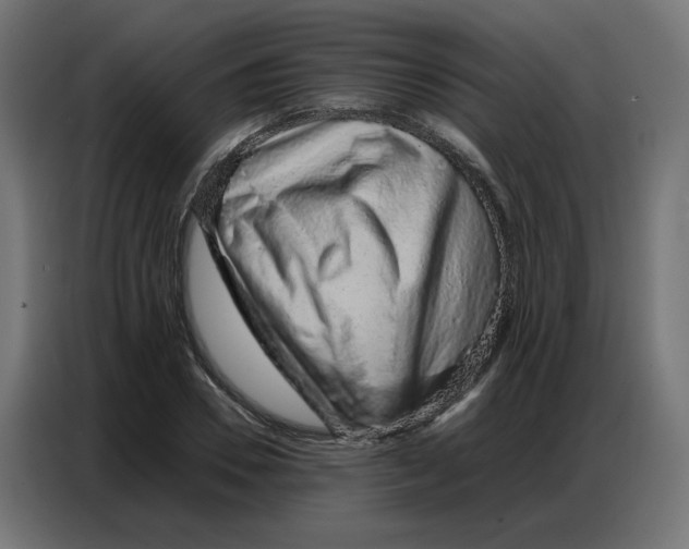 X0000086740930200705041404