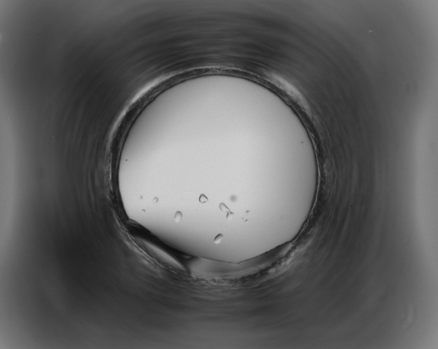 X0000086740931200705041404