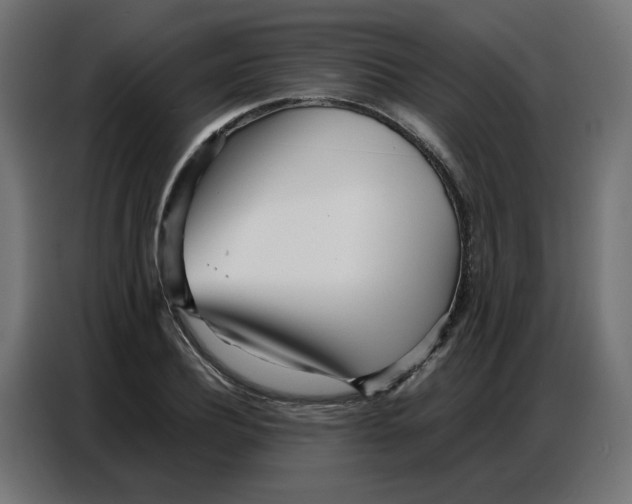 X0000086740932200705041404