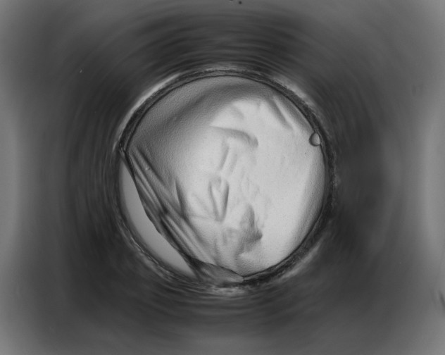 X0000086740933200705041404