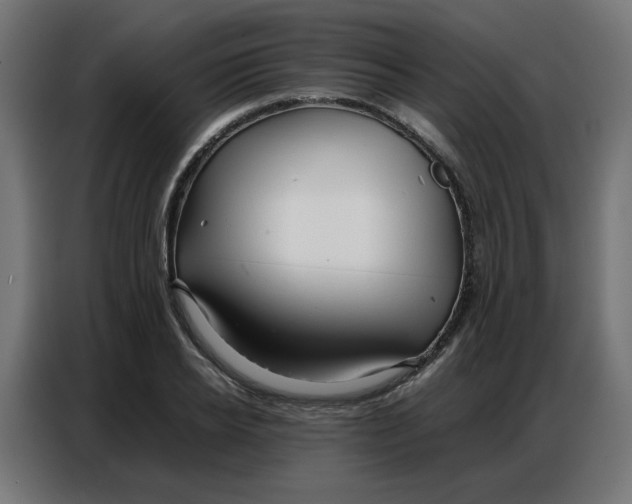 X0000086740934200705041404