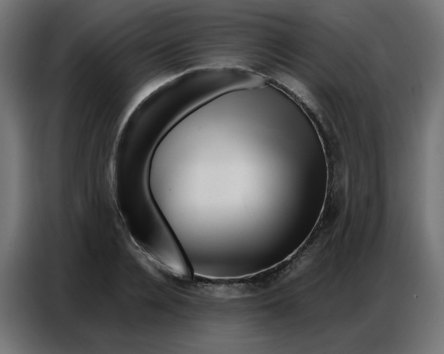 X0000086740936200705041405