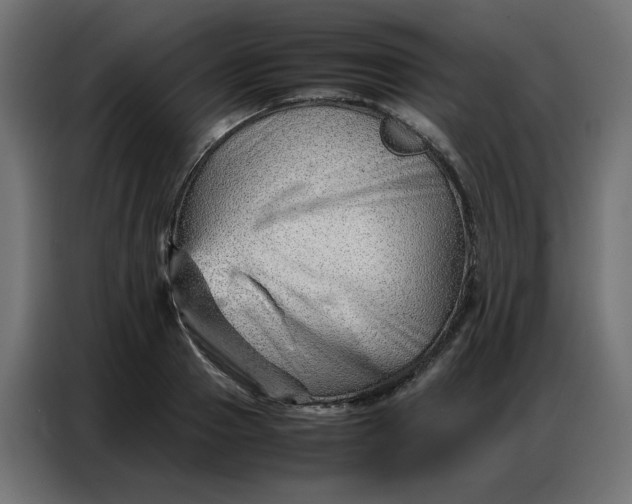 X0000086740937200705041405